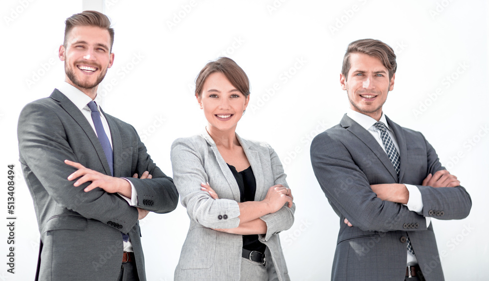 portrait of a professional business team portrait of a professional business team