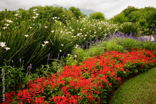 Trail of flowers