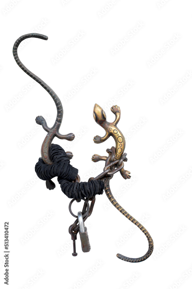 Naklejka premium Lizard door handle with lock and key