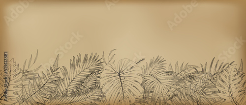 drawing nature leaf rainforest on vintage background