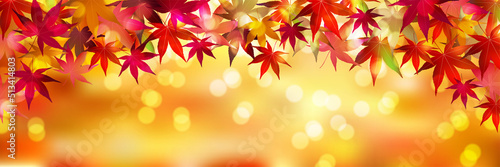 紅葉　もみじ　秋　背景