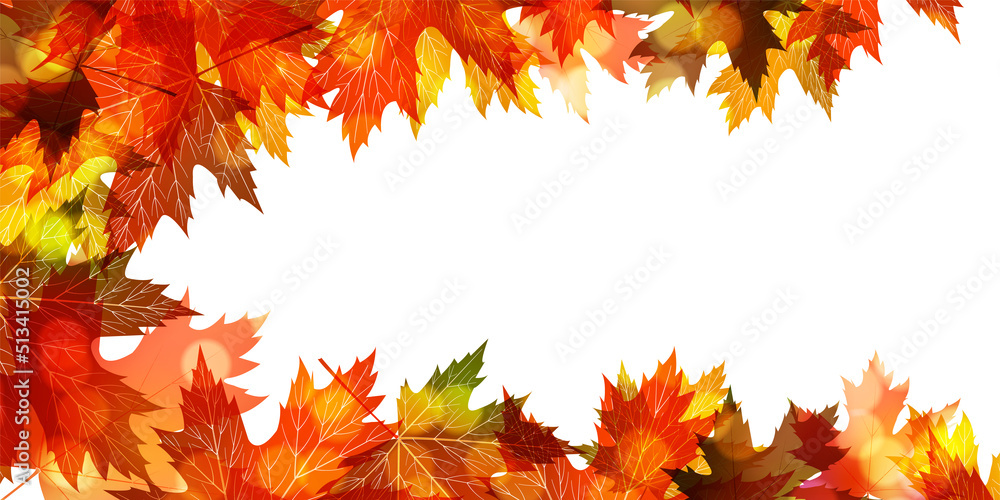 Fototapeta premium 紅葉 もみじ 秋 背景