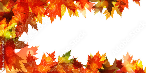 紅葉　もみじ　秋　背景