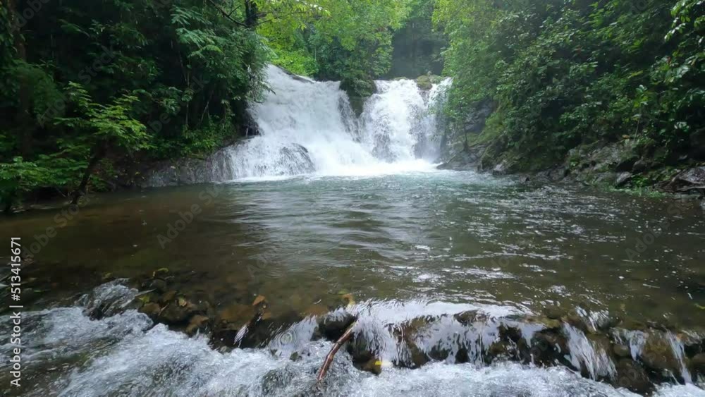 Cangrejo de rio Cangrejo de rio