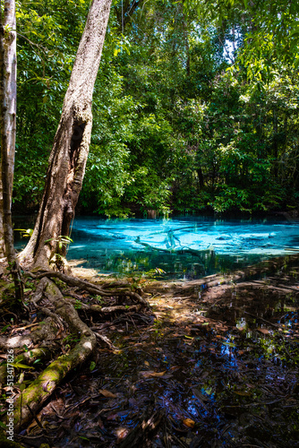 Emerald pool and Blue pool, trees, and mangroves with crystal clear water in Emerald Pool in Krabi Province, Thailand. photo