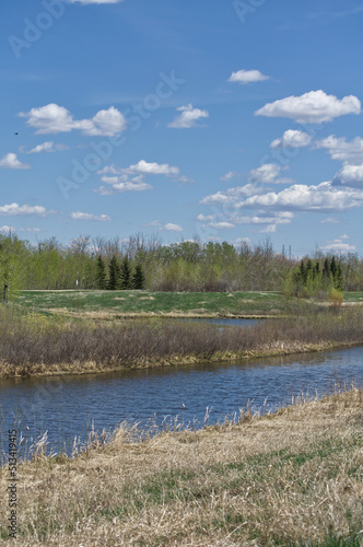 Pylypow Wetlands on a Sunny Spring Day