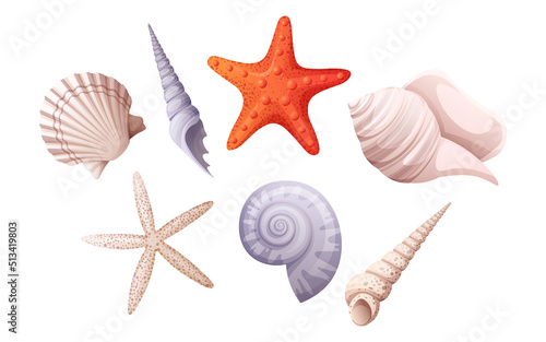 Set of various shells spiral shell, clam, starfish. Beach illustration, marine concept.