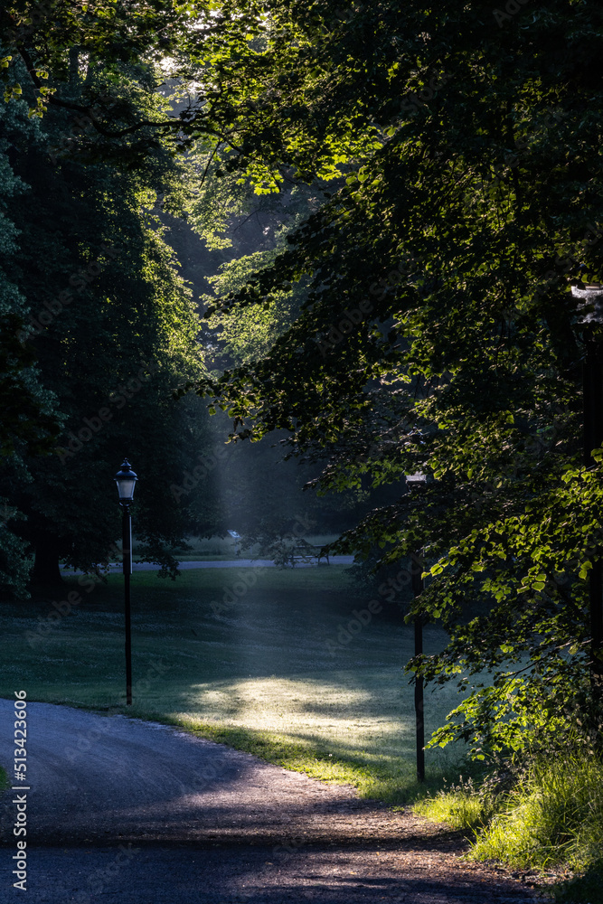 Obraz premium Stockholm, Sweden Early morning sunshine in a city park.