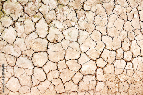 Cracked earth texture drought season background top view