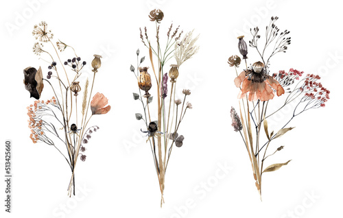 Bouquets of dry herbs and flowers, delicate herbarium. Autumn dried bouquets hand-drawn in watercolor and isolated on a white background. Botanical illustration.