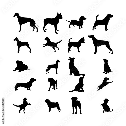 Vector silhouette of dog on white background