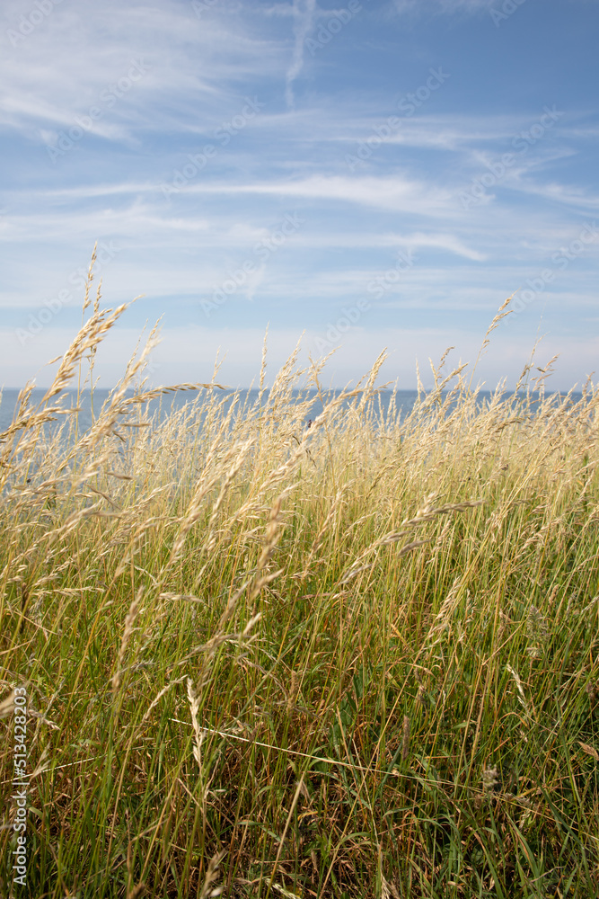 The beautiful Fyns Hoved in Denmark The beautiful Fyns Hoved in Denmark