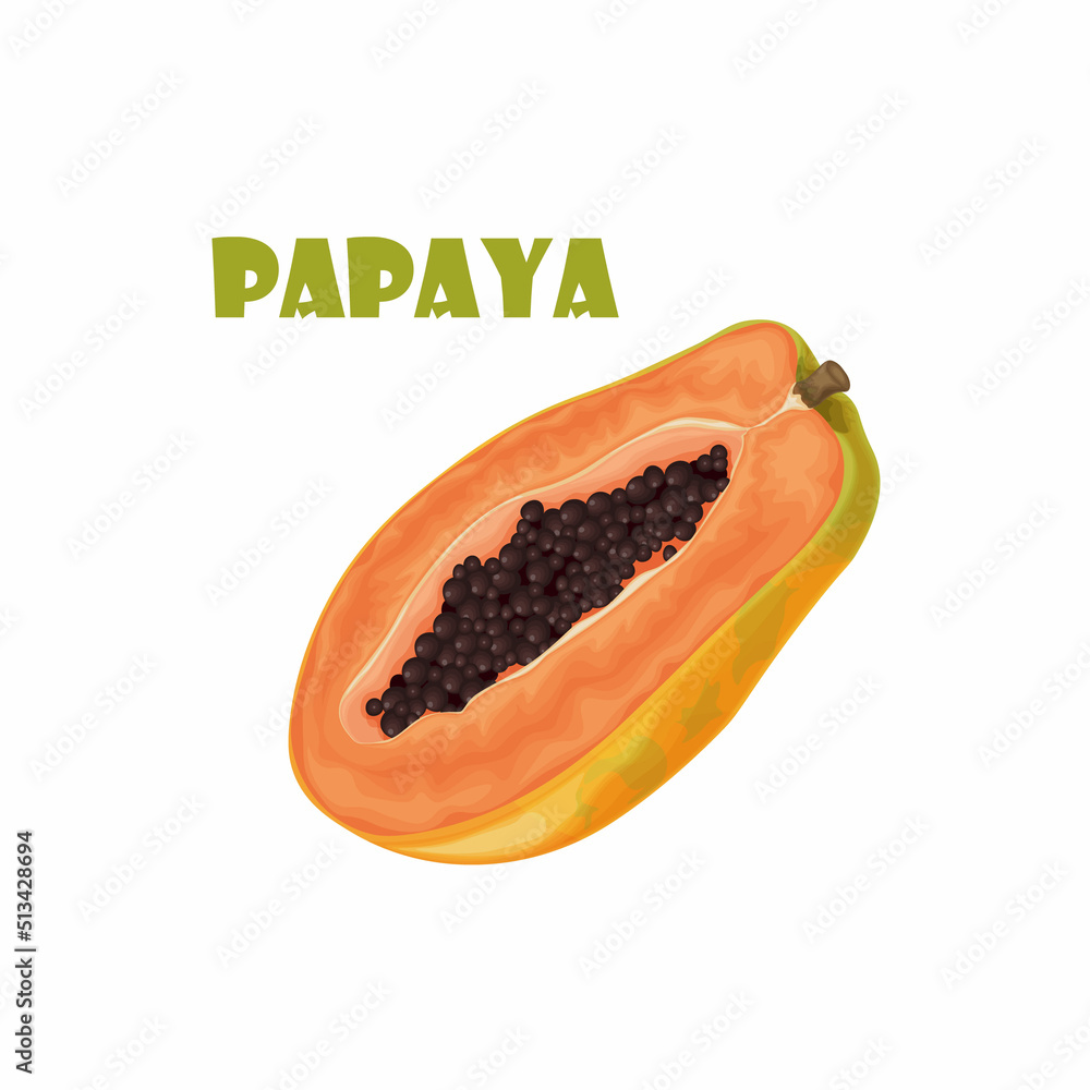 Papaya. Fresh, sweet papaya. Ripe fruit. Exotic fruits. Papaya in the cut. Vector illustration isolated on a white background Papaya. Fresh, sweet papaya. Ripe fruit. Exotic fruits. Papaya in the cut. Vector illustration isolated on a white background