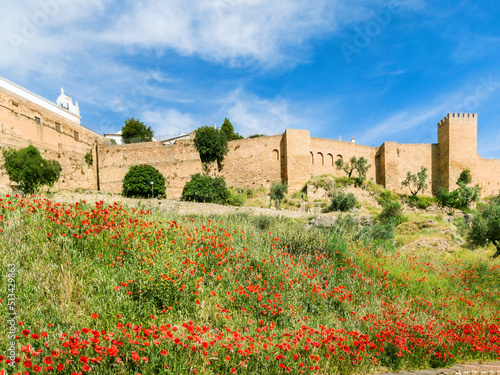 The ancient Arab Walls, Ronda, Spain in summer with wild red poppy flowers. The walls were built extendedly from 712 until 1485 during the Moorish rule of the city.