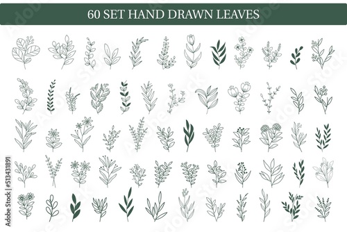 Doodle hand drawn leaf collection for background, wedding invitation ornament, social media post background, thank you card, seamless pattern