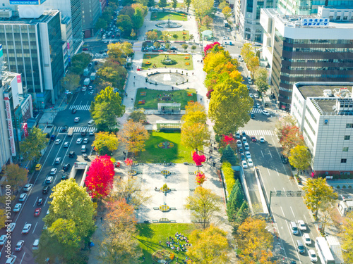 The view of Odori park and Sapporo cityscape from the Sapporo Tower.