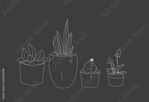 potted plants illustration