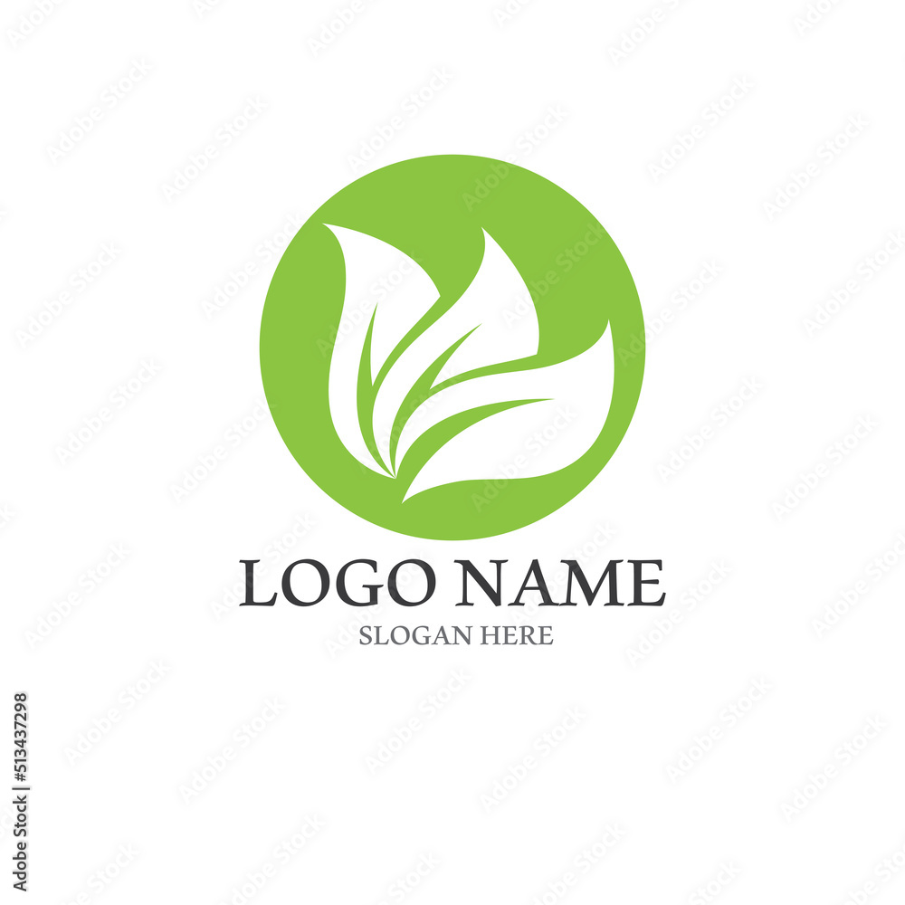 Green leaf Logo and symbol vector