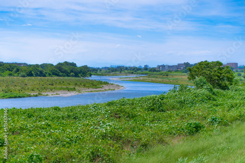よく晴れた夏の多摩川の風景