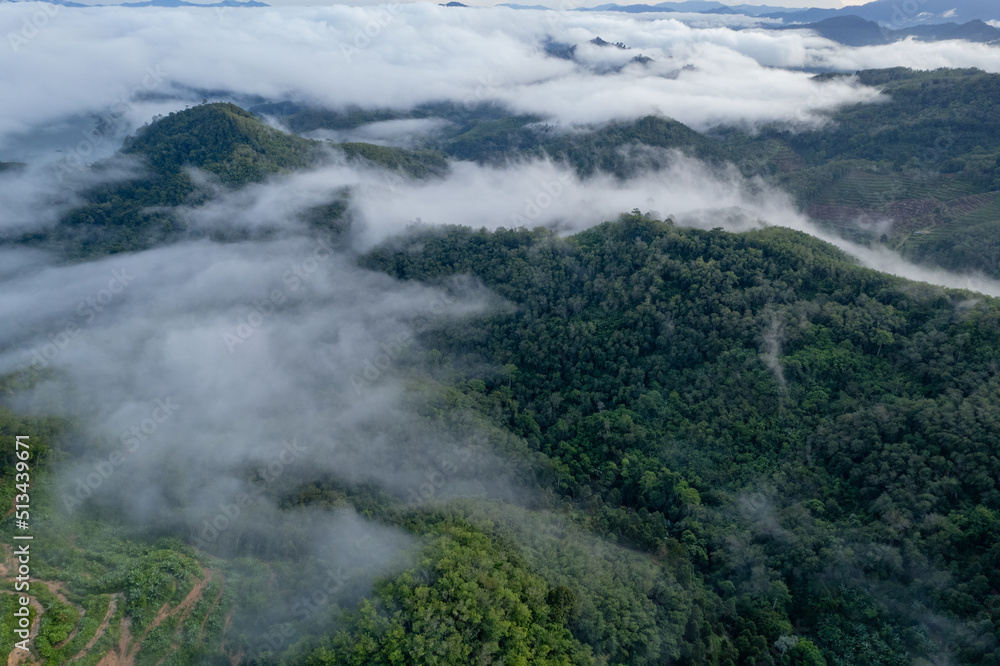 Mountain and fog in Thailand Take a picture with a drone