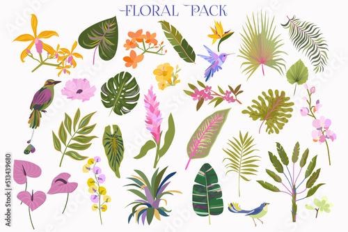 Collection of tropical plant and flower. Editable vector illustration