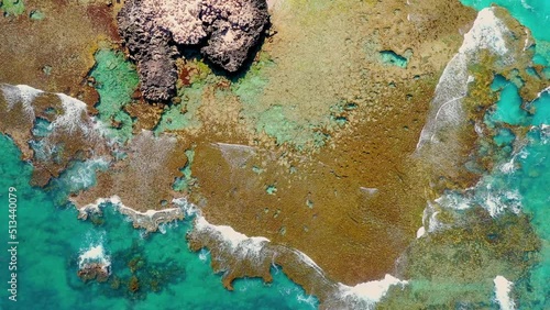 Beautiful coral reef in the North of Scaborough beach, Perth, Western Australia