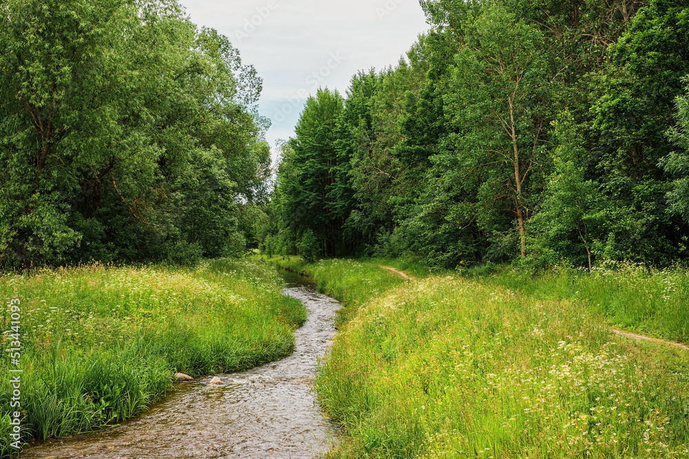 Obraz premium River in the green forest, path next to the river. Park in cloudy weather. Blooming herbs in a water meadow in June, northern summer, vacation time, banner or background idea