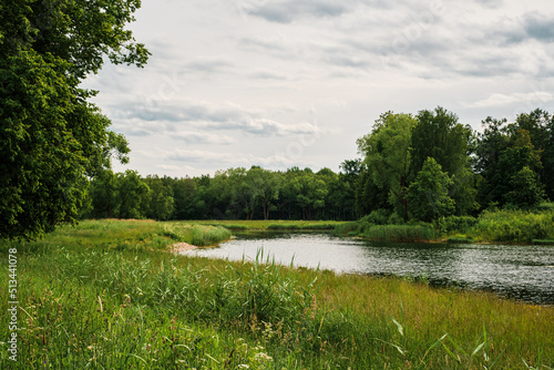 Fototapeta Naklejka Na Ścianę i Meble -  Green park with a lake in summer in cloudy weather, the peak of summer is the month of June, vacation time. Background or banner idea