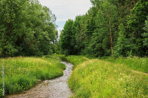River in the green forest, path next to the river. Park in cloudy weather. Blooming herbs in a water meadow in June, northern summer, vacation time, banner or background idea