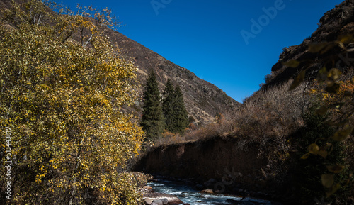 Natural landscape in the mountains in Central Asia with a small river, autumn forest, blue sky and yellow trees. Traveling and exploring new places.