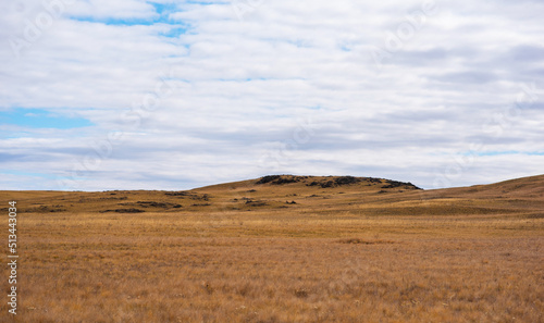 Tibet Plateau scenery. Yellow wild grass against the background of the cloudy sky. A landscape view of the dry hills. Amazing view of a desolate plain on a cloudy day with dry grass in the foreground.