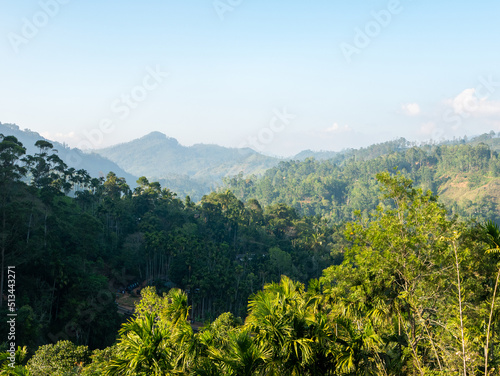 Beautiful view from a height of the green jungle and mountains at sunset. Ella, Sri Lanka