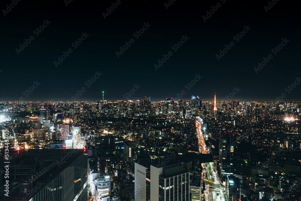 東京タワーとスカイツリーを望む、大都会の夜景。