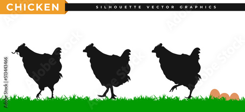 Hen silhouette. Chicken farm silhouette, walking and eating worms. Hen eggs laying in the grass.