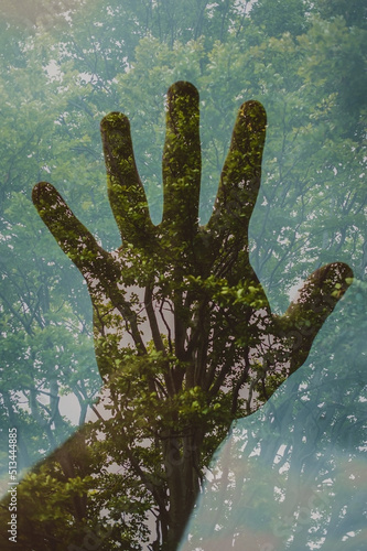 Fototapeta Naklejka Na Ścianę i Meble -  silhouette of hand on a nature landscape