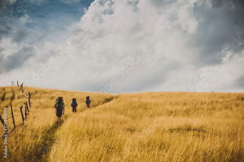 three tourists walking at golden grass field, blue sky
