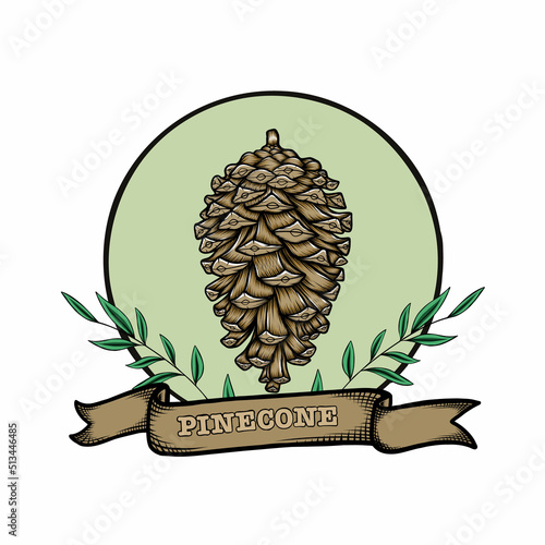 Pine cone hand drawn vintage logo design vector