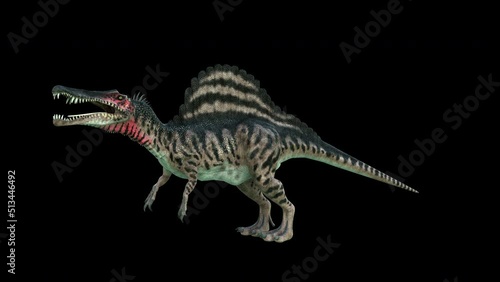 4K Spinosaurus Dinosaur animation.3840×2160.10 Second Long.Transparent Alpha photo