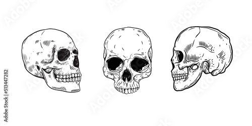 Hand drawn black color scull set. Vector art sketch style illustration.