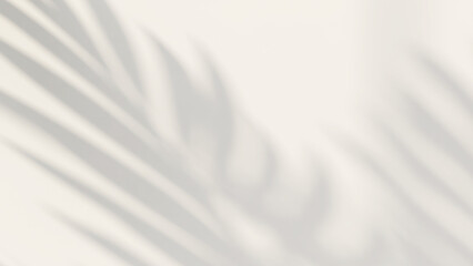 3D render nature concept, beautiful foliage tropical palm leaves shadow on empty white wall. Background, Backdrop, Natural, Summer, Beach, Sunlight, Eco, Tropicana, Space, Outdoor, Breeze, Pattern.