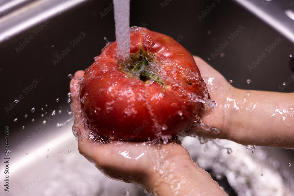 Fototapeta premium kid hands washing tomatoes in the kitchen sink