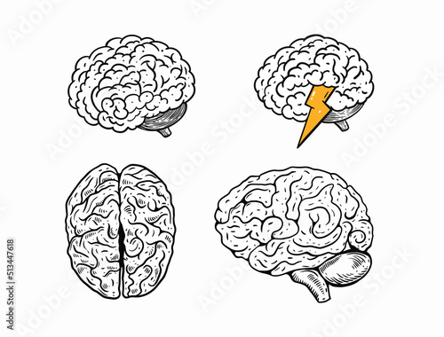 Human Brains set. Hand drawn black color realistic sketch style.
