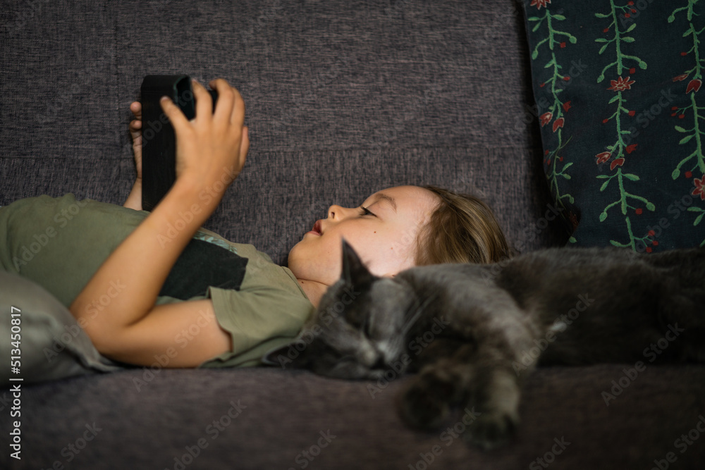 Boy lying on sofa using digital tablet computer playing games or watching cartoons at home. Child internet safety concept. Kid using electronic equipment. Parental control. Online education. Boy lying on sofa using digital tablet computer playing games or watching cartoons at home. Child internet safety concept. Kid using electronic equipment. Parental control. Online education.