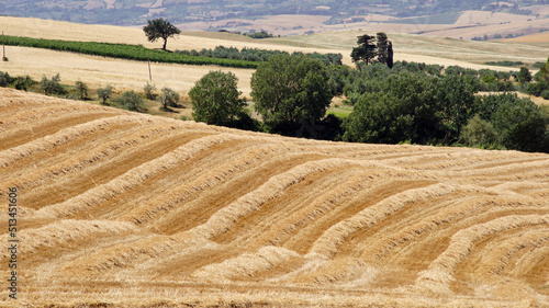 agriculture in region photo