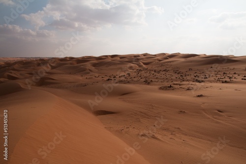 Late evening walk in the Wahiba desert  Oman