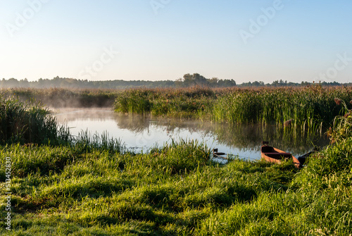 Letni poranek w Narwiańskim Parku Narodowym. Polska Amazonia, Podlasie, Polska © podlaski49