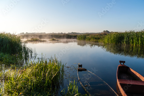 Letni poranek w Narwiańskim Parku Narodowym. Polska Amazonia, Podlasie, Polska