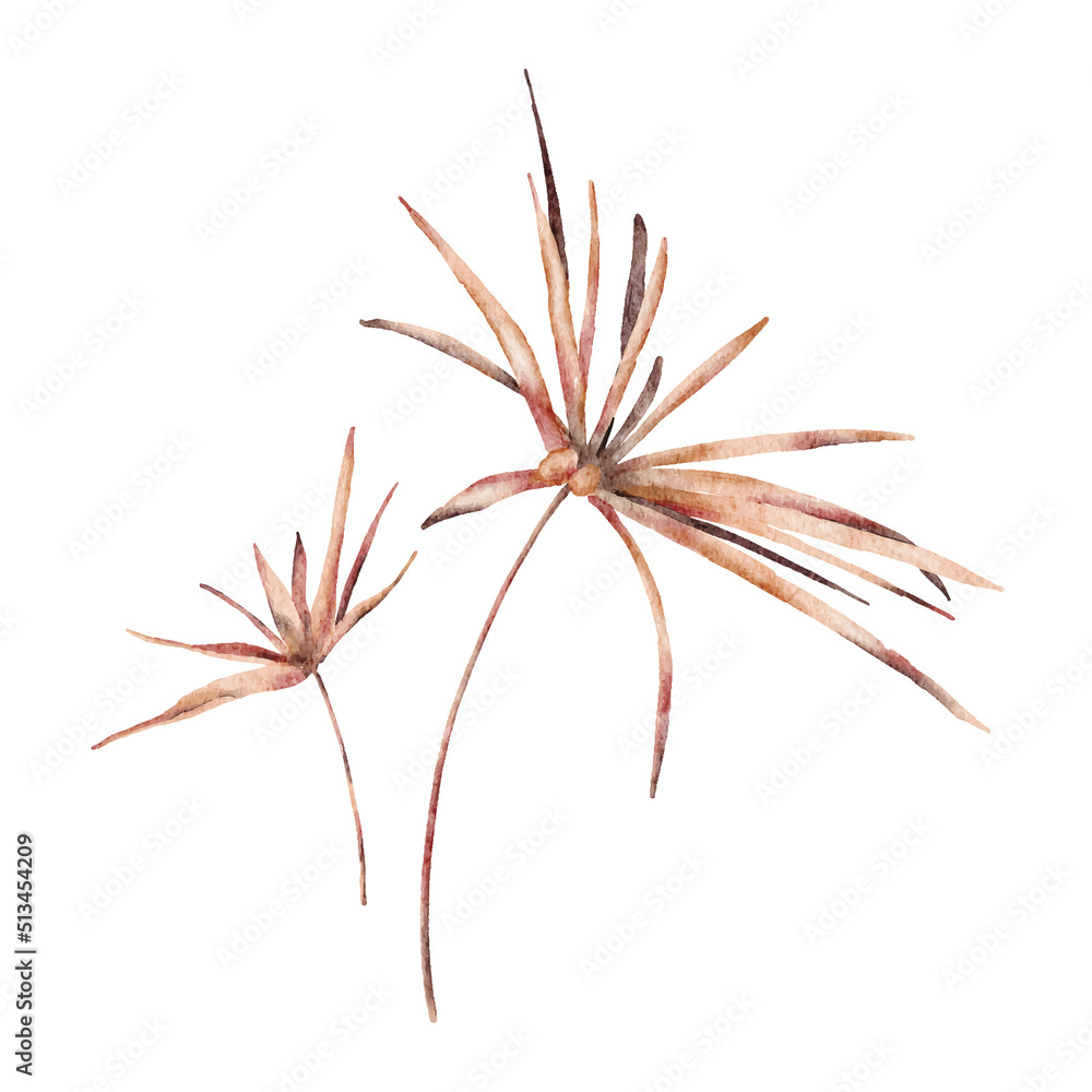 Tropical boho dried palm leaves floral set Tropical boho dried palm leaves floral set