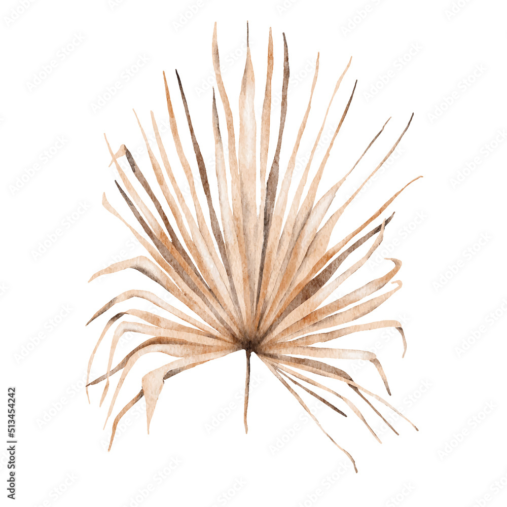 Tropical boho dried palm leaves floral set Tropical boho dried palm leaves floral set