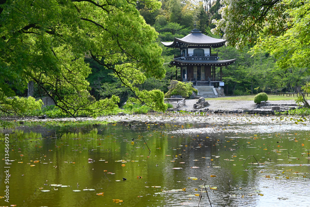 Naklejka premium 5月の京都市勧修寺の氷室池と観音堂